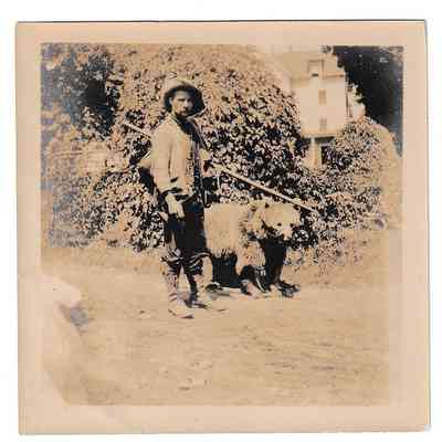 Photograph