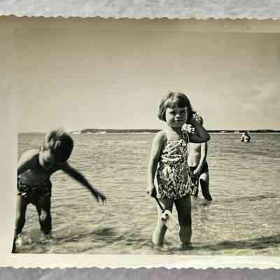 Photograph