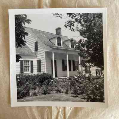 Photograph