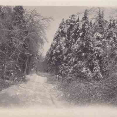 Lott Family Photograph