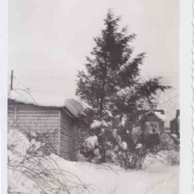 Lott Family Photograph