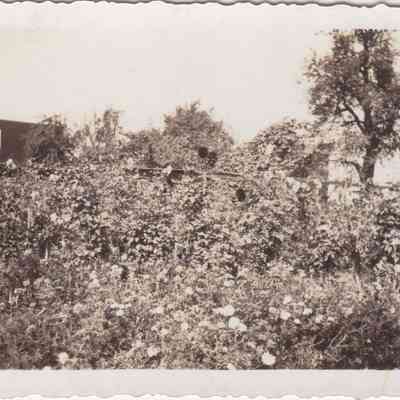 Lott Family Photograph