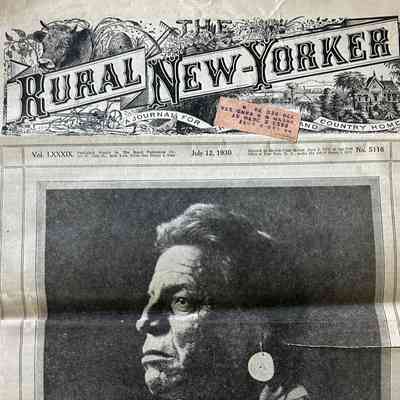 Newspaper