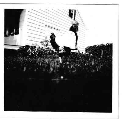Photograph