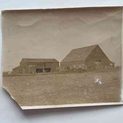 Photograph