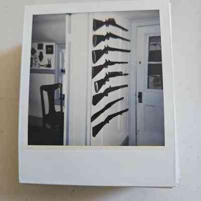 Photograph of Guns