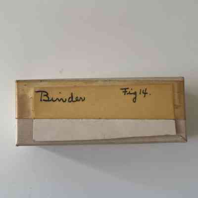 Binder Box