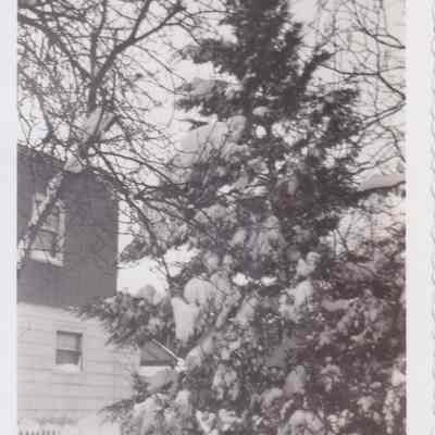 Lott Family Photograph