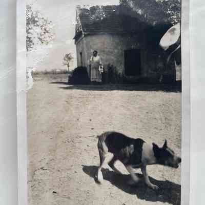 Photograph
