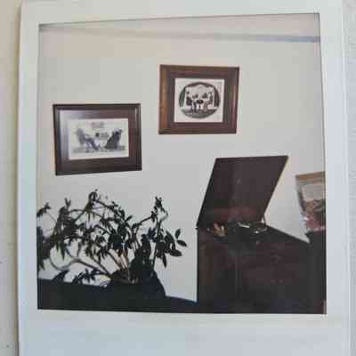 Photograph of Room