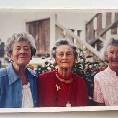 Photograph