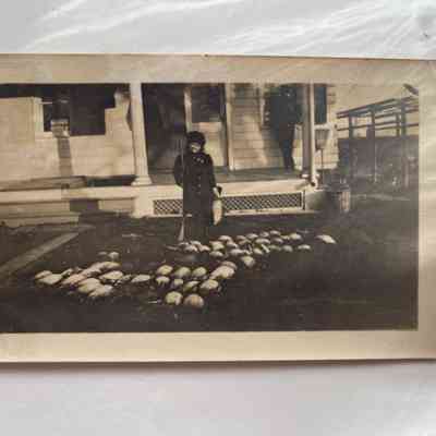 Photograph