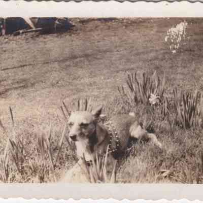 Lott Family Photograph