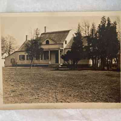 Photograph