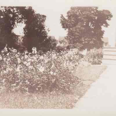 Lott Family Photograph