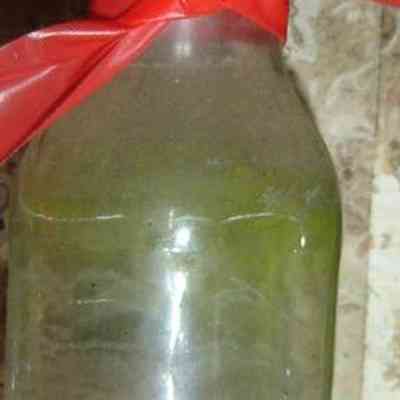 Bottle