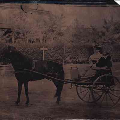 Tintype of a Horse and Buggy