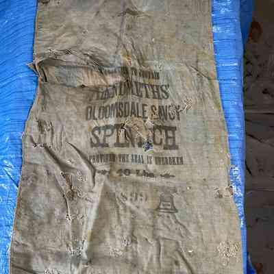 Sack