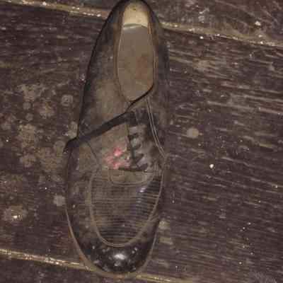 Shoe