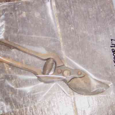 Shears, Pruning