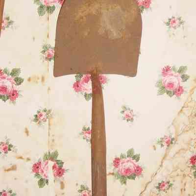 Shovel