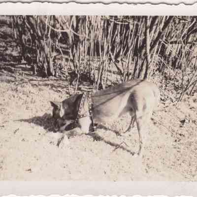 Lott Family Photograph