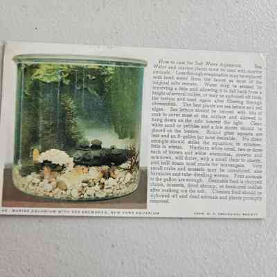 Postcard