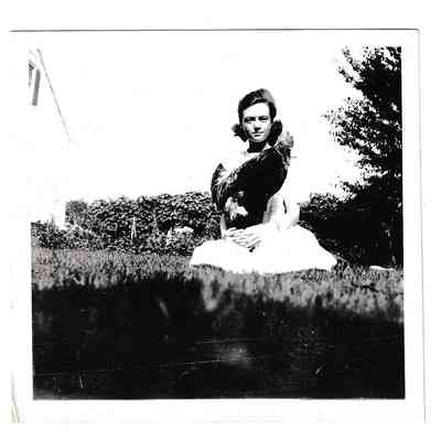 Photograph