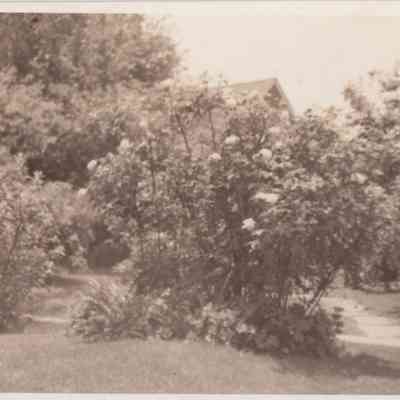 Lott Family Photograph