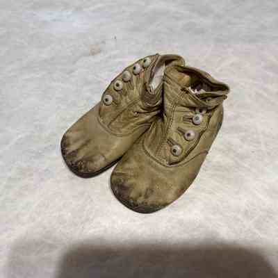 Shoe