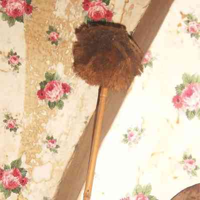 Mop