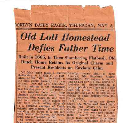 Newspaper
