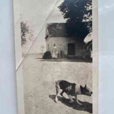 Photograph