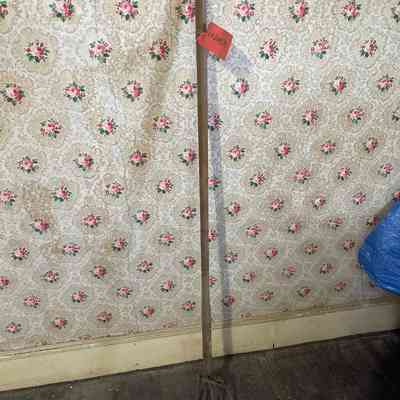 Rake