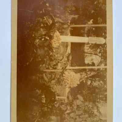 Photograph