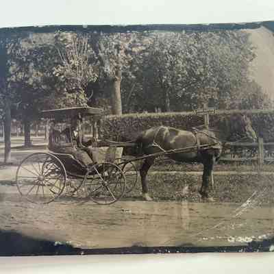 Photograph