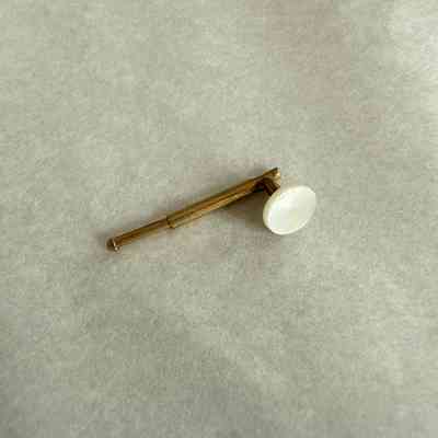 Button Pin