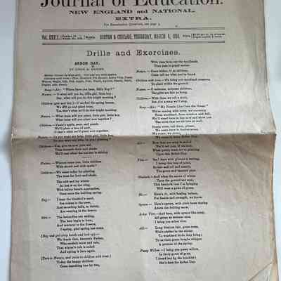 Newspaper