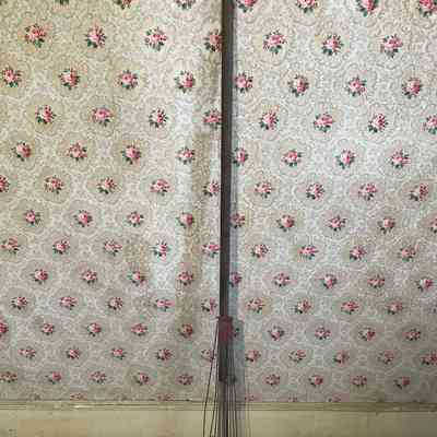 Rake
