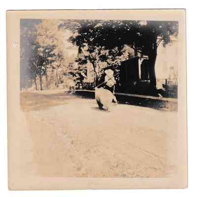 Photograph