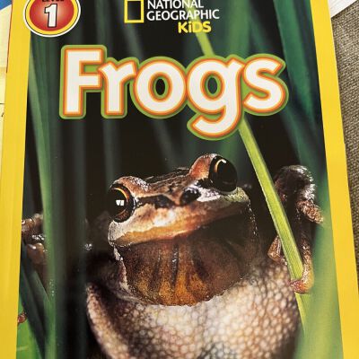 Frogs