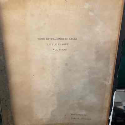 Little League All Stars Book