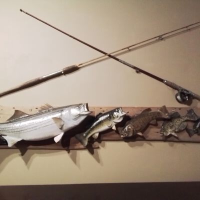Fishing poles and fish