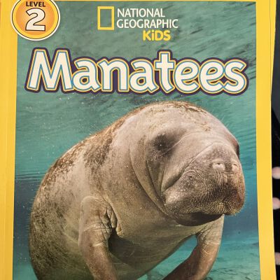 Manatees