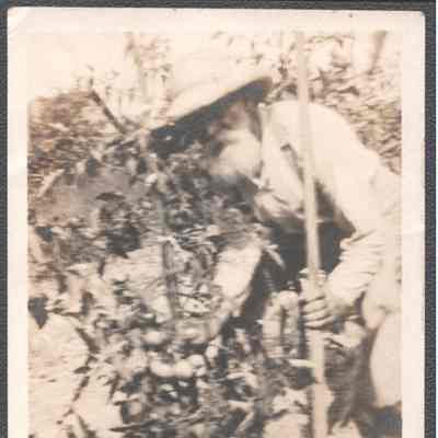 Lewis Summers in garden at Glenwood, no date