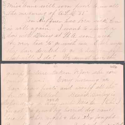 p. 5-6