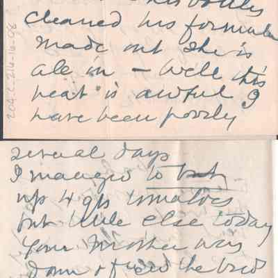 p. 5-6