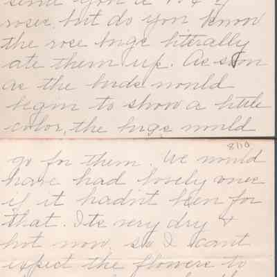 p. 7-8