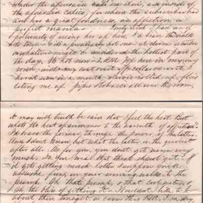 p. 5-6