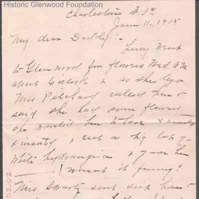 Lewis Summers from Elizabeth S. Quarrier, Jun 11, 1915